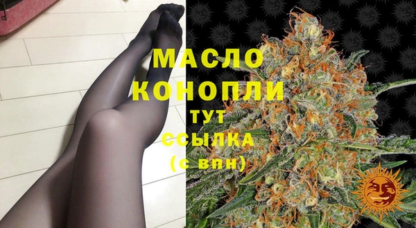 индика Аркадак