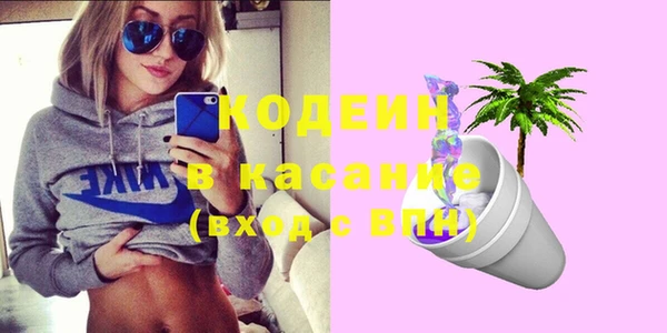 индика Аркадак