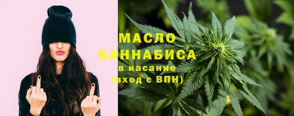 индика Аркадак