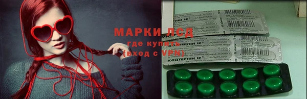 индика Аркадак