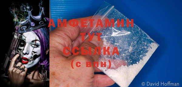 индика Аркадак