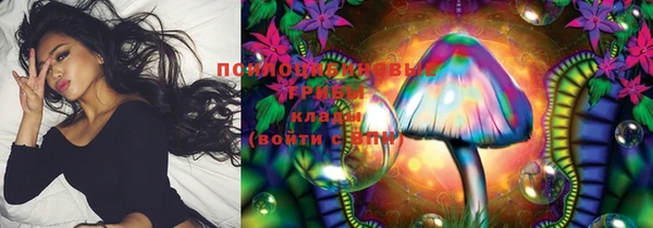 прущие крисы Ельня