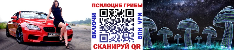 Галлюциногенные грибы MAGIC MUSHROOMS Павловск